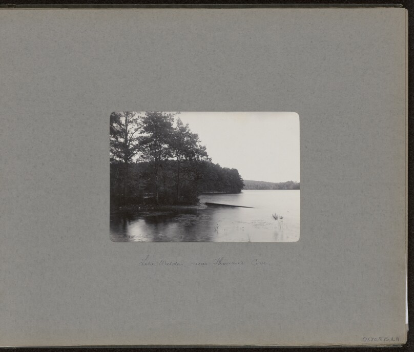 Lake Walden near Thoreau's Cove