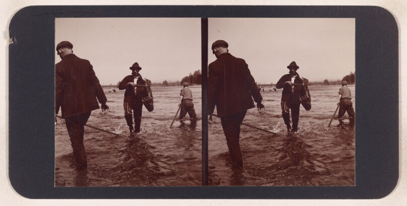 [Three fisherman sweeping water] (recto); [Vista of pine trees and snow-covered mountain] (verso)