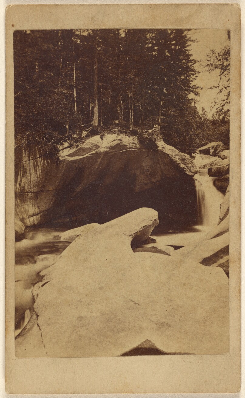 [Unidentified forest view with rocks and cavern]