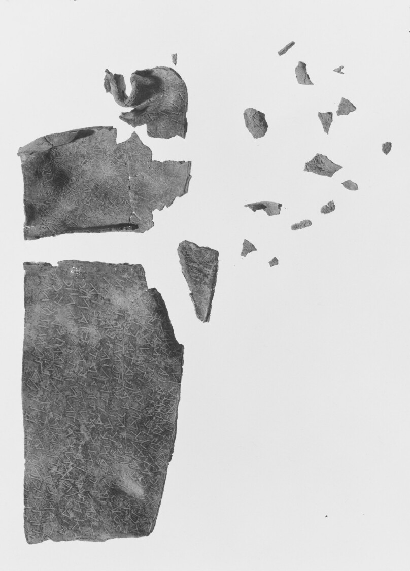 Fragmentary Lamella (4)