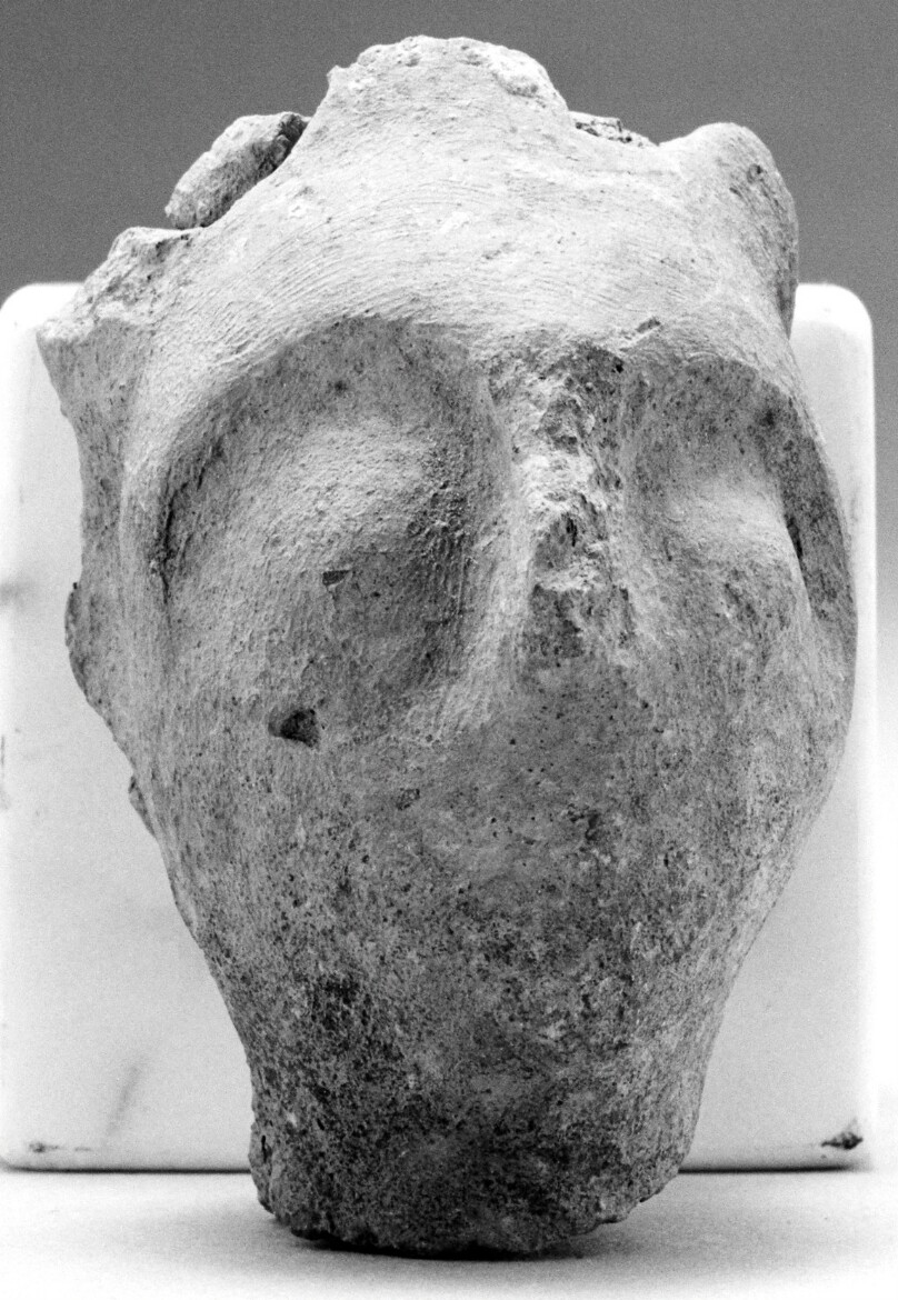 Male Head