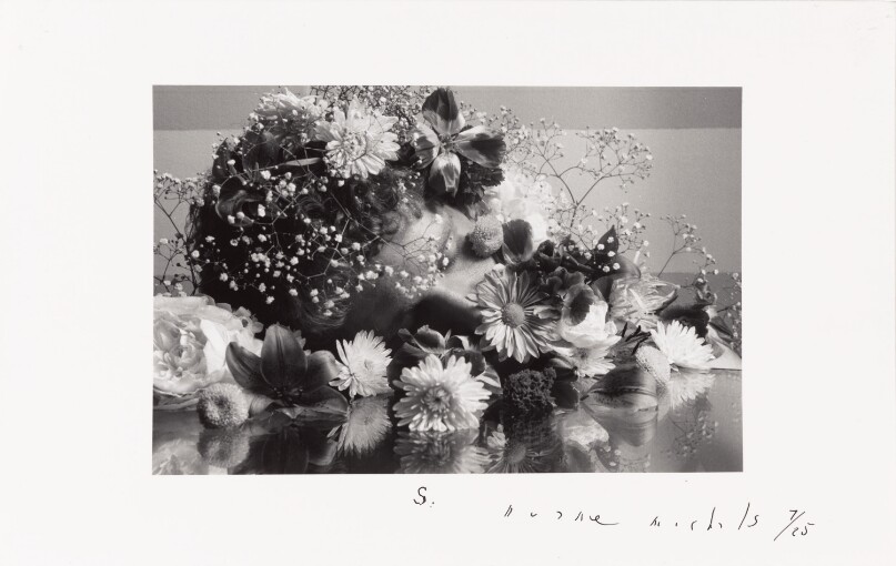 The Dream of Flowers