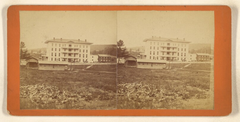 View of House and Croquet Grounds. [Crystal Springs, Yates County, New York]