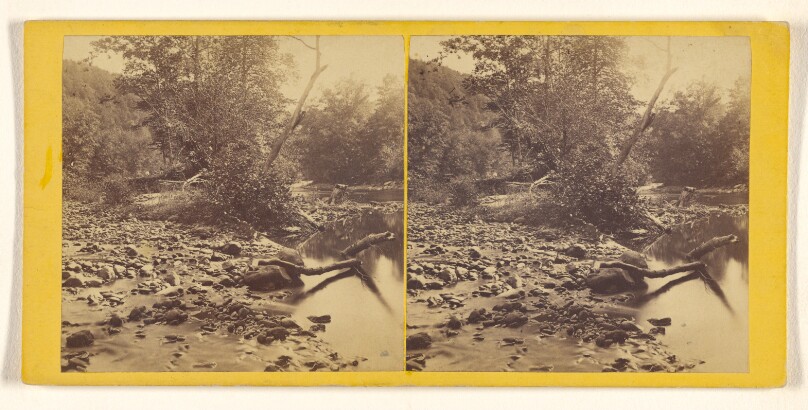View on Broadhead's Creek.