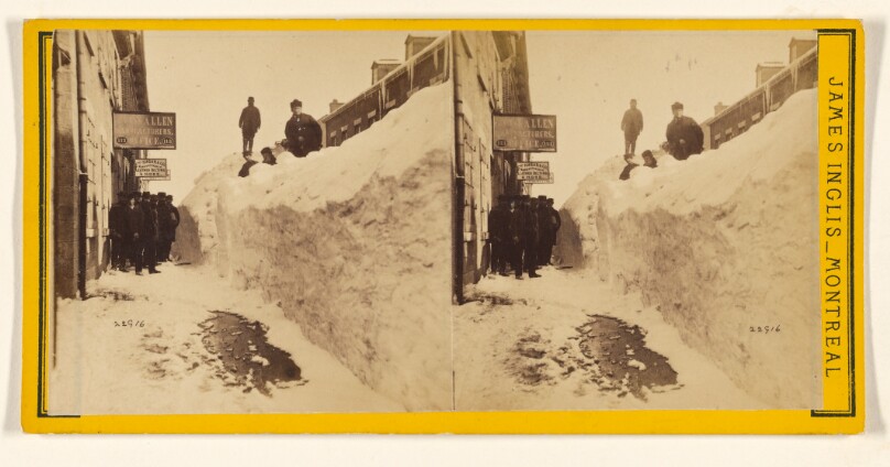 Queen Street. Taken between the 7th and 15th of March, 1869.
