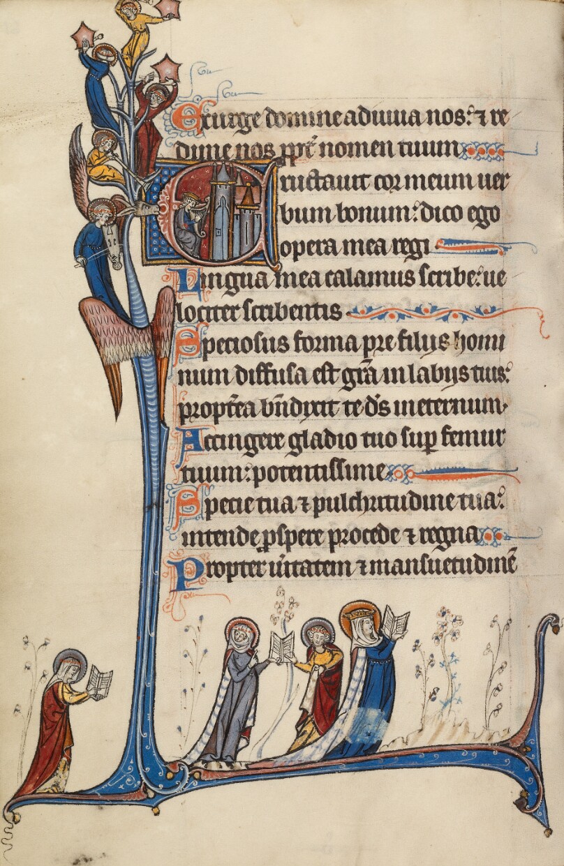 Initial E: David Playing the Harp