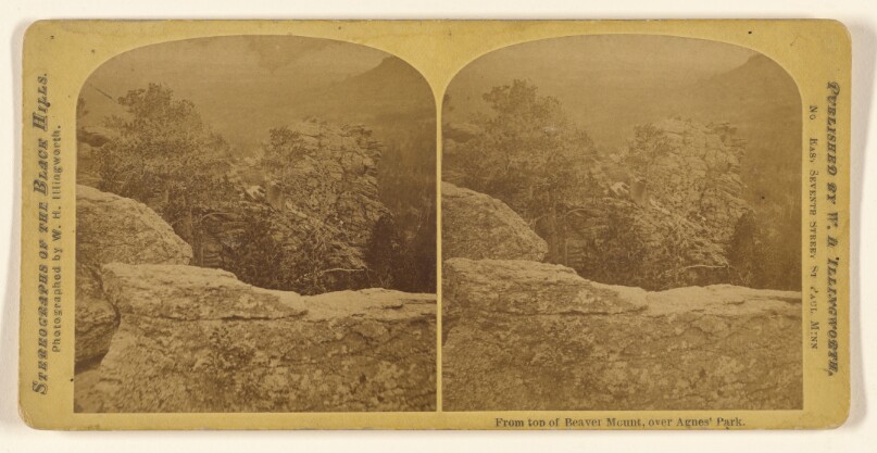 From top of Beaver Mount, over Agnes' Park.