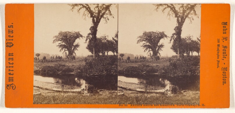 Artists Brook and Meadows, North Conway, N.H.