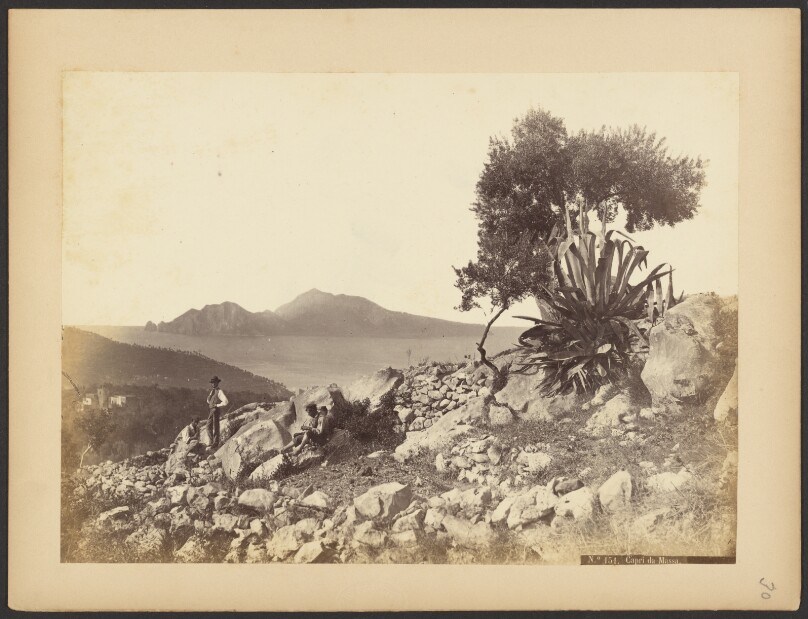 Capri da Massa