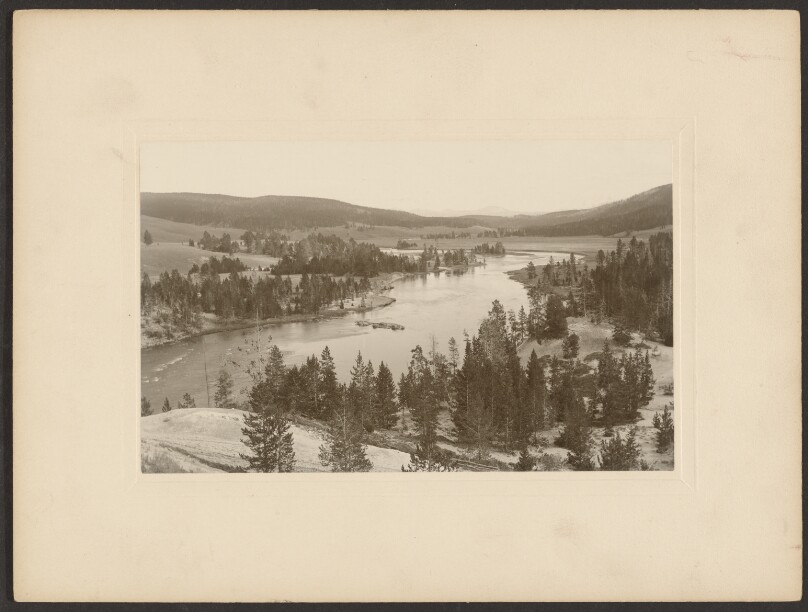 Hayden Valley