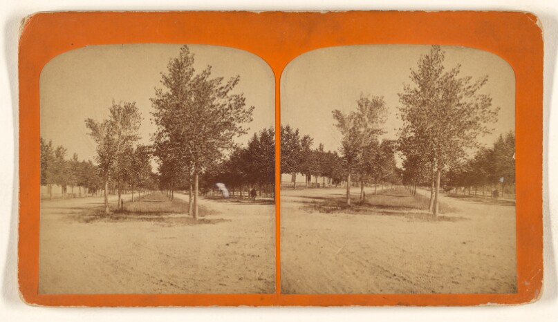 [Nevada Avenue, Colorado Springs, Colorado]