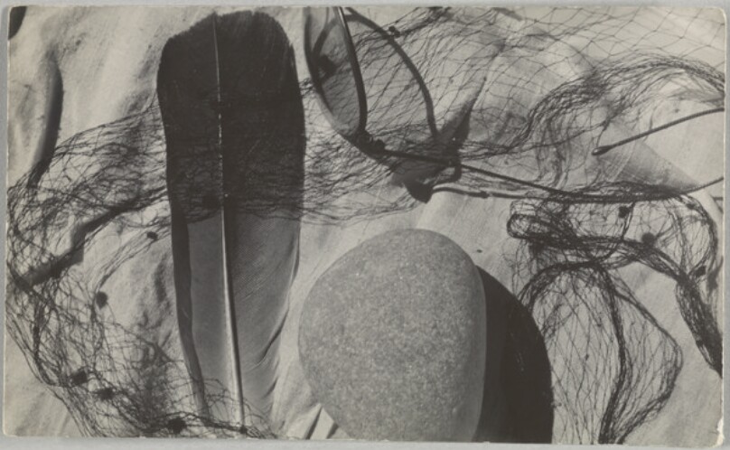 [Still Life with Stone, Feather, Eyeglasses, and Net on Sand]