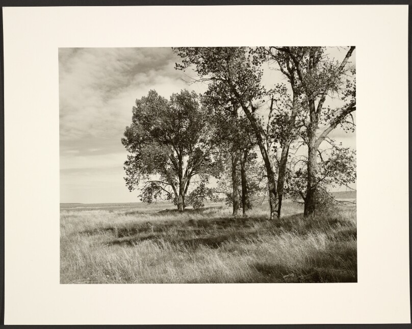 The Pawnee Grasslands, Colorado