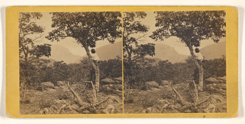[Delaware Water Gap, from Table Rock, Pennsylvania]