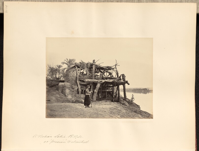 A Nubian Sakia, R. Nile, or "Persian" Waterwheel