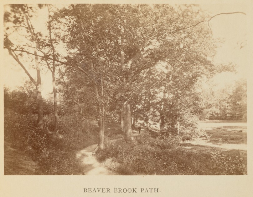 Beaver Brook Path