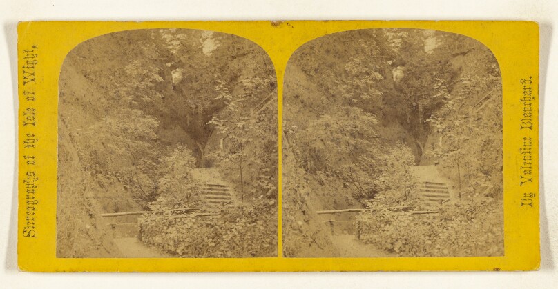 Shanklin Chine. [Isle of Wight]