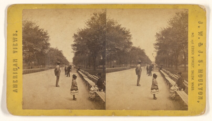 The Mall, Central Park. [N.Y.]