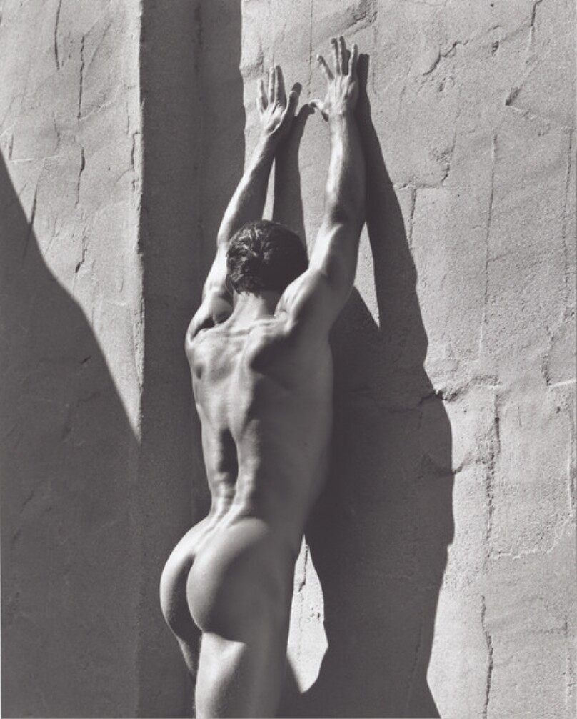Fred, Backview