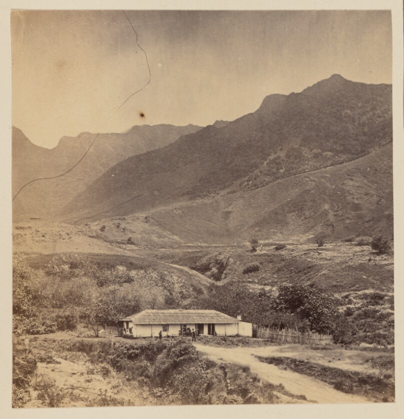 Scenes in the Island of Juan Fernandez