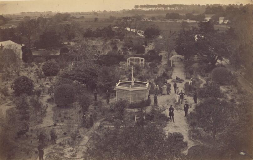 J.E. Seabrook's Flower Garden, Edisto Island, South Carolina