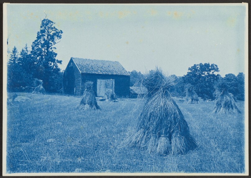 [Landscape with Haystacks]