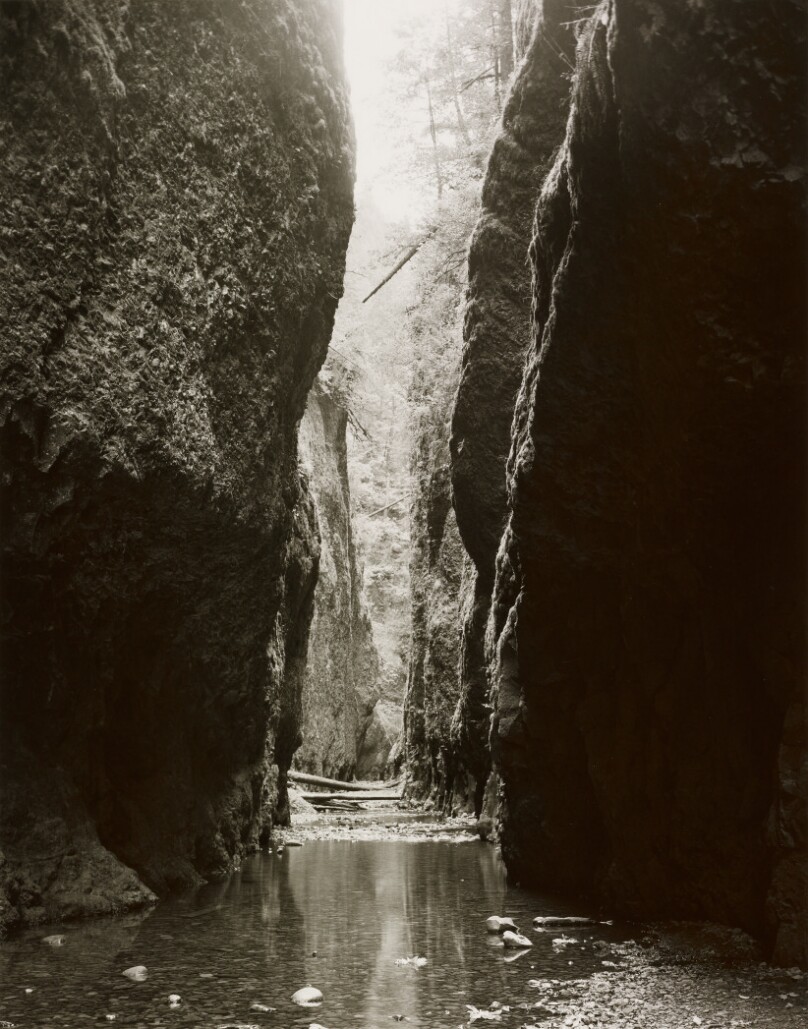Oneonta Gorge, After Carleton Watkins