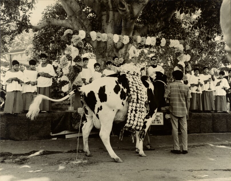 Blessing of the Animals