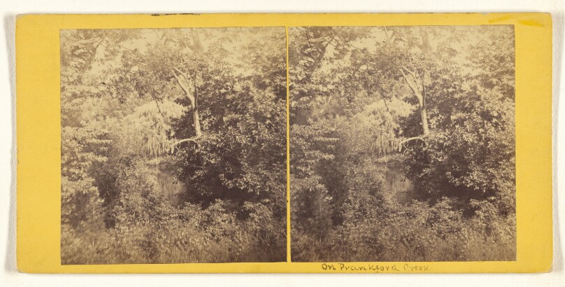[On Frankford Creek, Winter]