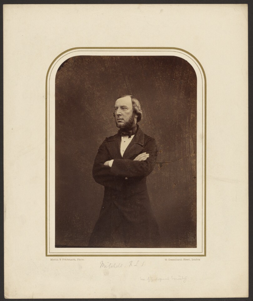 [Mitchell, F.L.S., Sec. of Zoological Society]