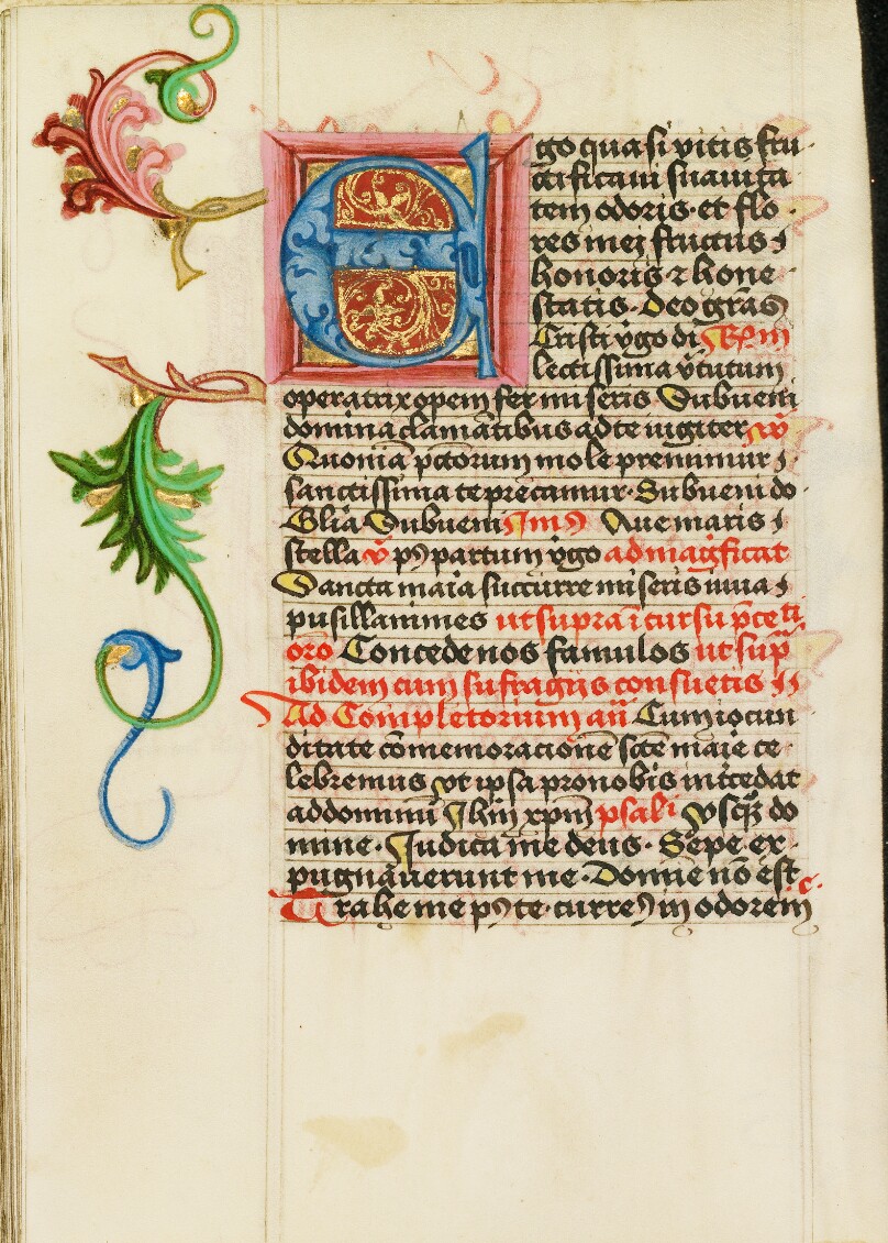Decorated Initial E