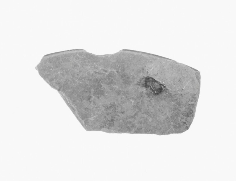 Attic Vase Fragment