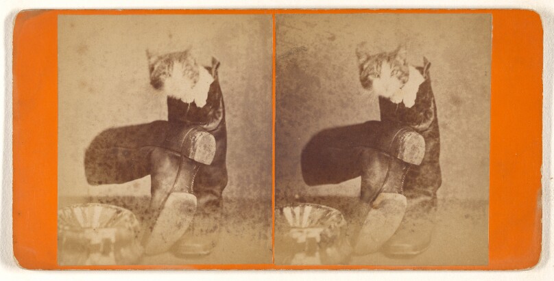 [Puss in boots.]