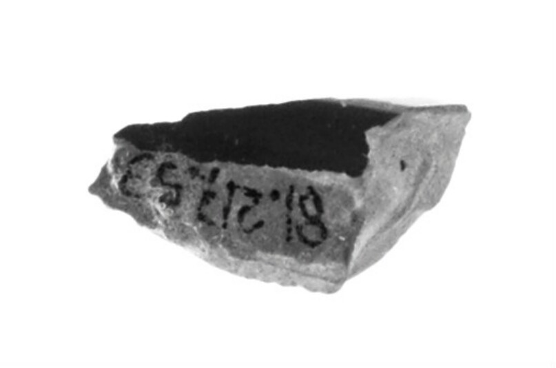Attic Red-Figure Stamnoid Fragment