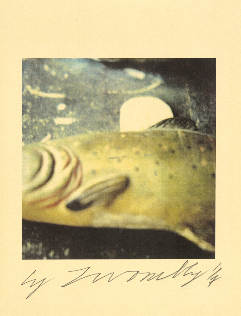 Fish