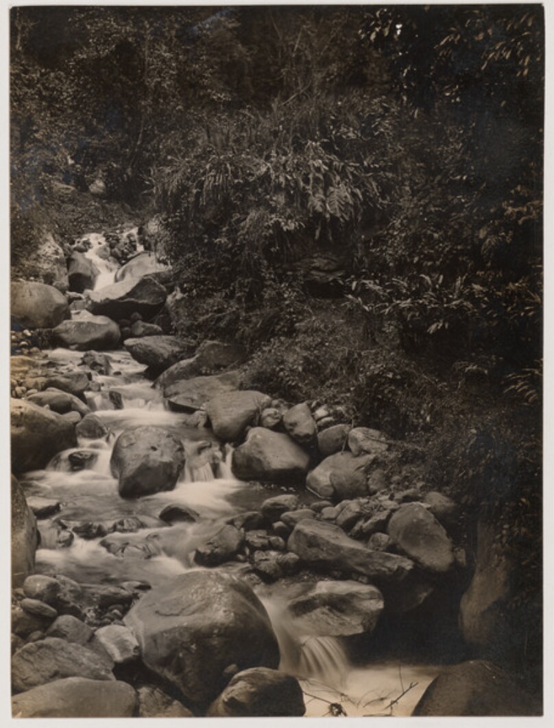 A stream near Dentam