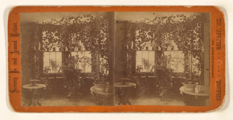 [Interior of a sitting room with plants at Belfast, Maine]