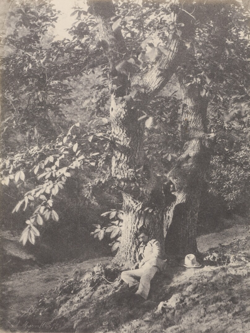 [Young Man Resting Beneath a Horse-Chestnut Tree] / [Homme allongé au pied d'un châtaignier]