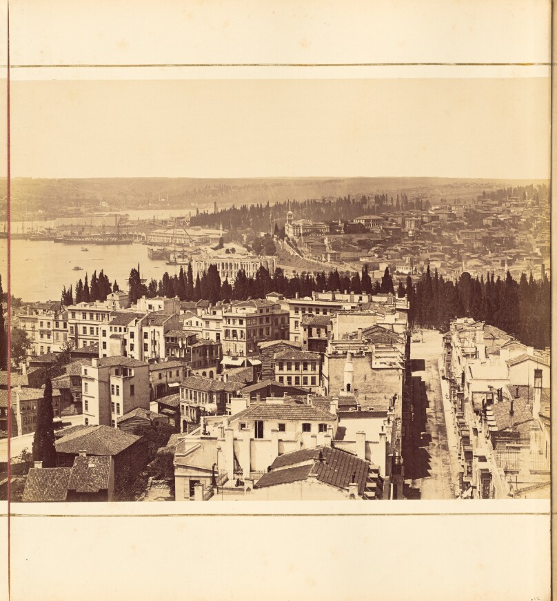 [Plate 12]