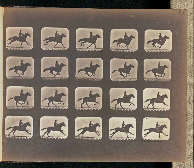Running (Galloping)