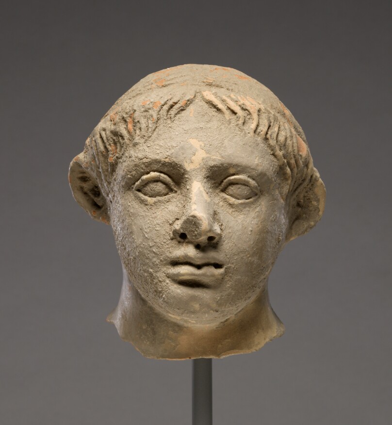 Head of a Youth