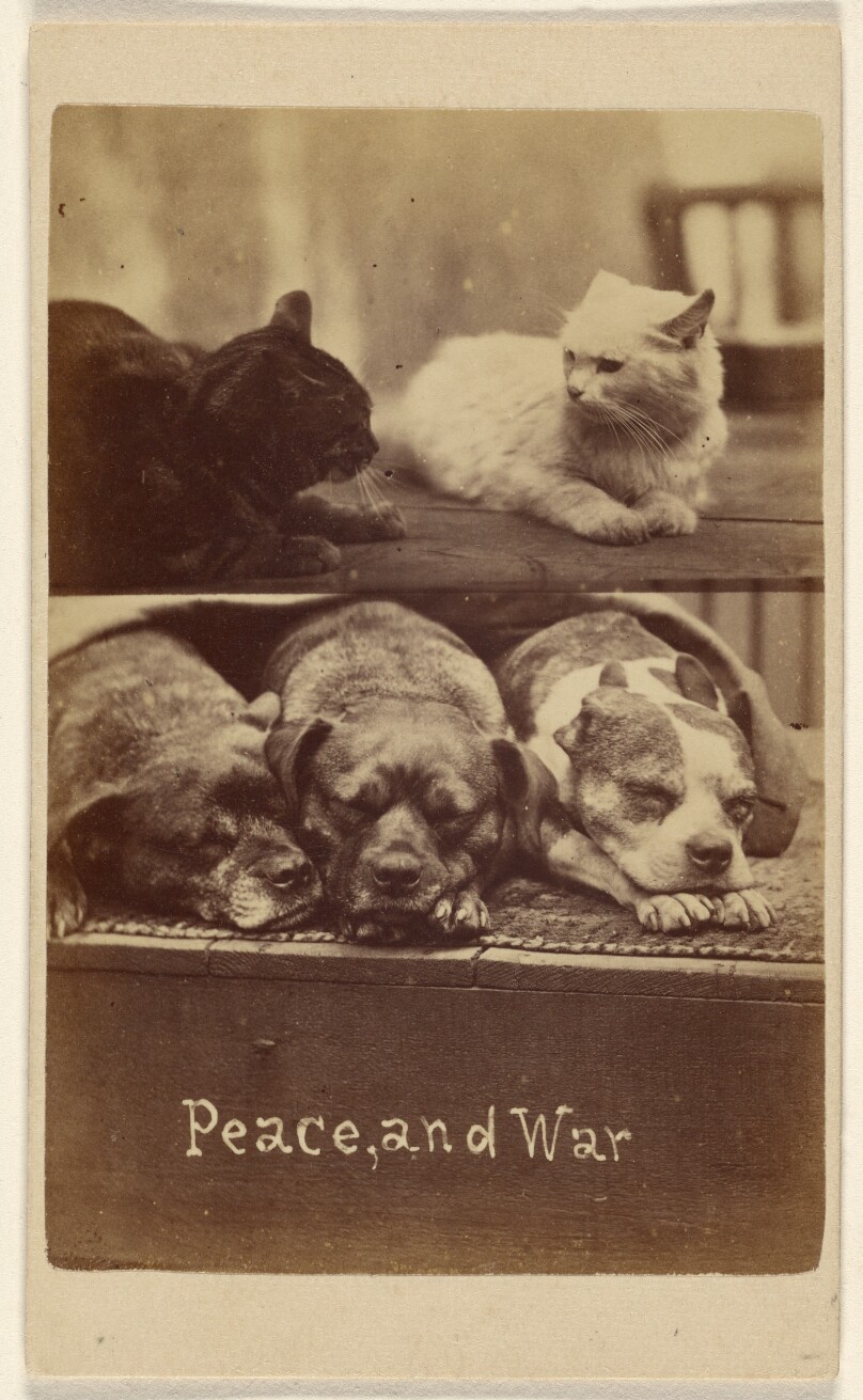 Peace, and War.
