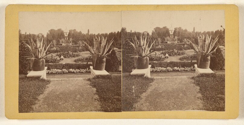 Shaw's Garden. General View from Palm-House. [St. Louis, Missouri]