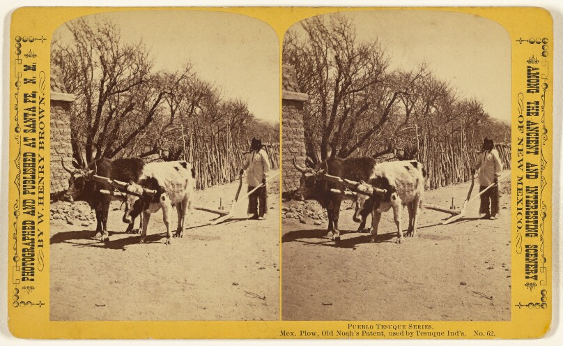 Mex. Plow, Old Noah's Patent, used by Tesuque Ind's. [Pueblo Tesuque]