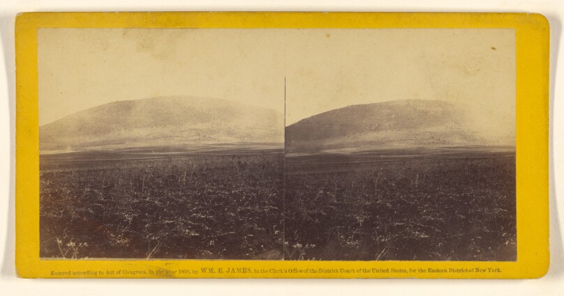 Mt. Tabor. From the valley of Esdrelon, looking north. On it the transfiguration took place.
