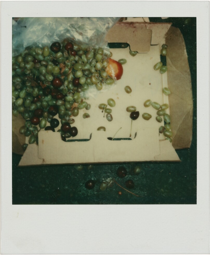 Untitled (Grapes and Tangerine, Boston, MA)