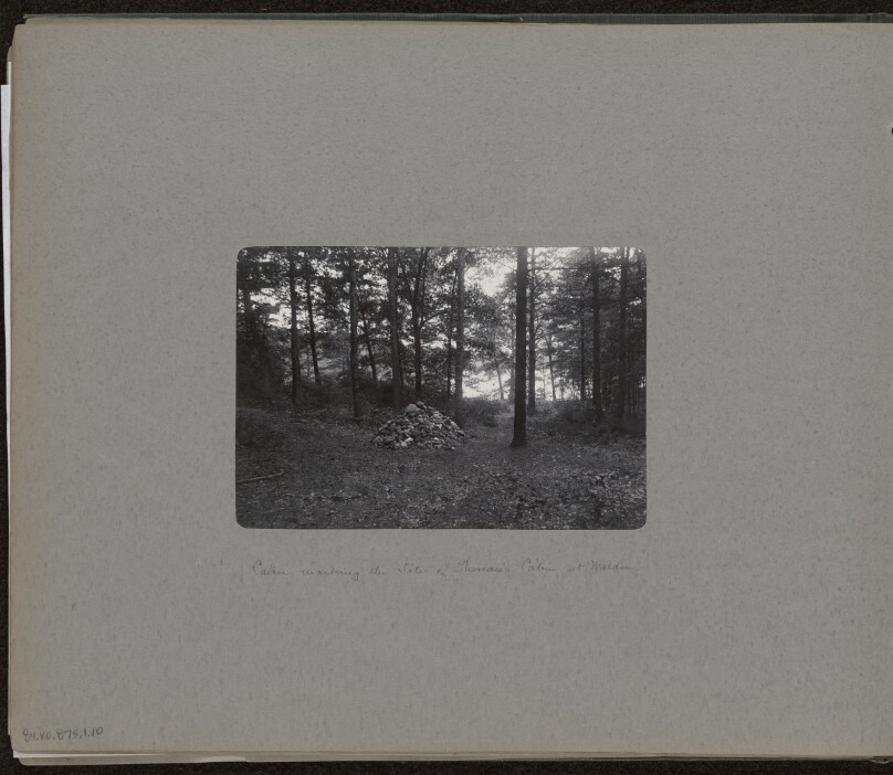 [Site of Thoreau's Cabin]