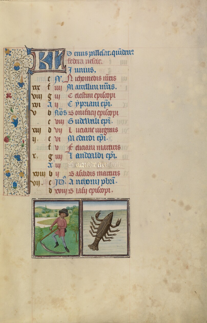 June Calendar Page; Mowing; Cancer