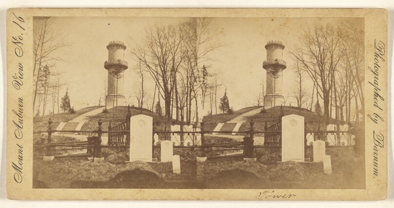 [Mount Auburn Tower]