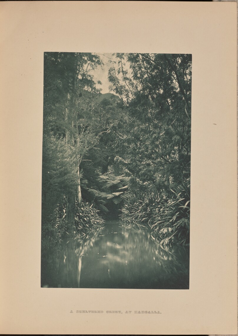 [Creek at Hakgala]